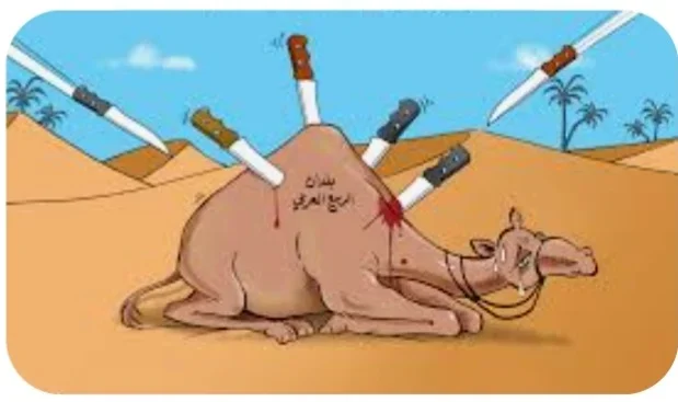 Screenshot_٢٠٢٤٠٩١٤-٢٠٠٣١٨_Google.webp Screenshot_٢٠٢٤٠٩١٤-٢٠٠٣١٨_Google.webp