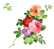 IMG_3138.png