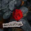 Screenshot_٢٠٢٤-٠٩-٢٨-١٢-٣١-٤٨-٩٦٥_com.instagram.android-edit.jpg