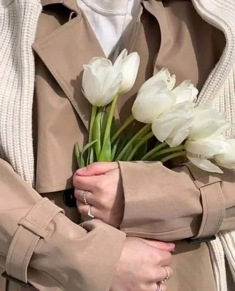 FB_IMG_1727702513956.webp FB_IMG_1727702513956.webp