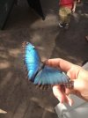 FB_IMG_1727100422406.jpg