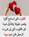 صور-جميلة-خلفيات-حلوة-3.jpeg