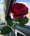 FB_IMG_1729633704322.jpg