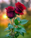 FB_IMG_1729095913990.jpg
