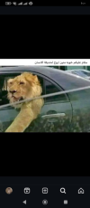 1731006220318.png