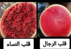 FB_IMG_1728512963480.jpg