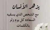1732503375999.png