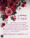 1733452035528.png
