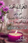 1733452079620.png