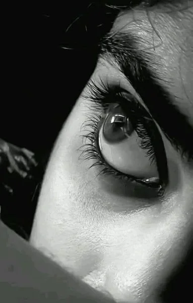 FB_IMG_1733439389559.webp FB_IMG_1733439389559.webp