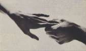 1734186591278.png