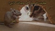 IMG_8185.jpeg