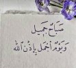 IMG_3559.jpeg