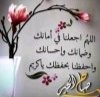 IMG_٢٠٢٤١٢٢٥_٠٨٤٧٥٦.jpg