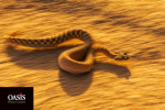 1735232123856.png 1735232123856.png