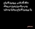 d7z95775.jpg