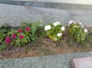 IMG_20250116_153859.jpg