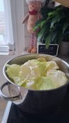 IMG-20250128-WA0000.jpg IMG-20250128-WA0000.jpg