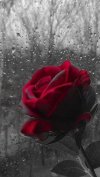 38d14e60-b84c-4f78-859c-c3c7d33aebc9.jpeg