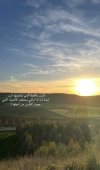 IMG_4948.jpeg