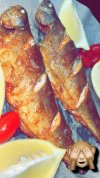 IMG_2983.jpeg