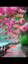 Screenshot_٢٠٢٥٠٣١٤-٠٢١٠٢٠.png