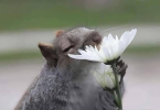 1741958609274.png