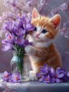 FB_IMG_1741899410307.jpg