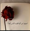 Screenshot_٢٠٢٥٠٣١٧_٠١١٤١٤_Instagram.jpg