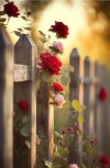 IMG_3121.jpeg
