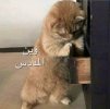 caaefdb4c383937c602e277f0b51bac0.jpg