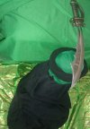 IMG_20250320_034517~3.jpg