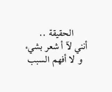 FB_IMG_1742682587735.jpg