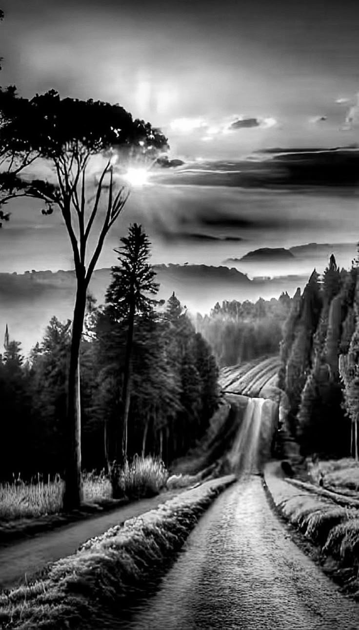 bc36057d2379bce676bf70f62bc3e2a9.jpg