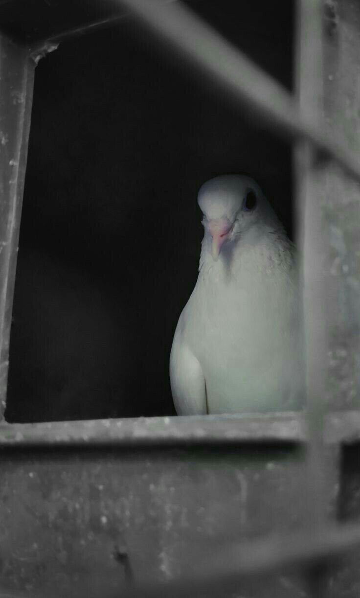 1742961088378.jpeg