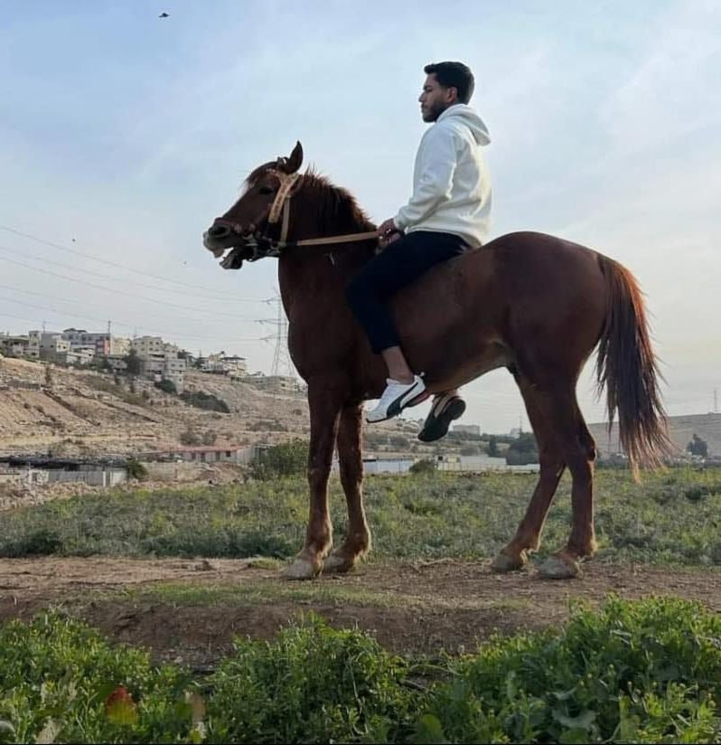 الخيل1.jpg