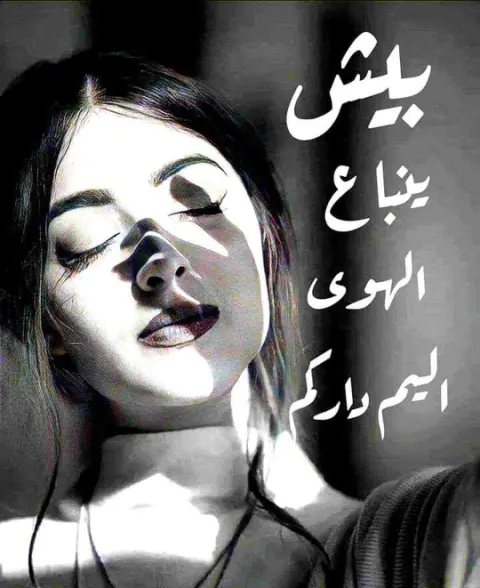 1743146897758.png