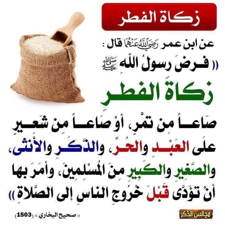 FB_IMG_1742779389213.jpg
