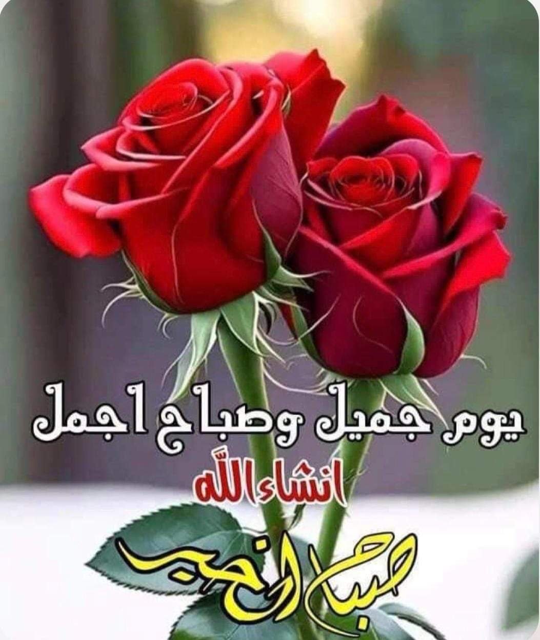 FB_IMG_1719390380904.jpg