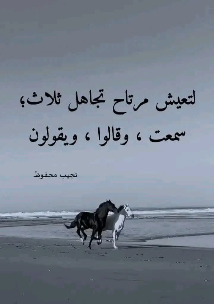 FB_IMG_1743600513202.jpg