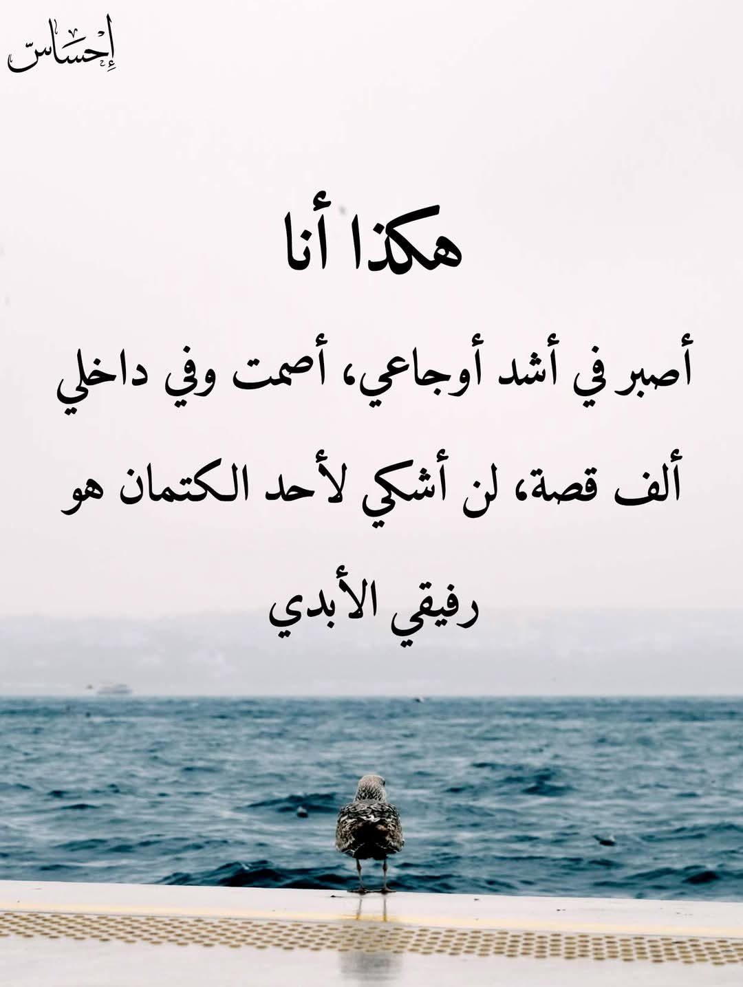 FB_IMG_1743546915932.jpg