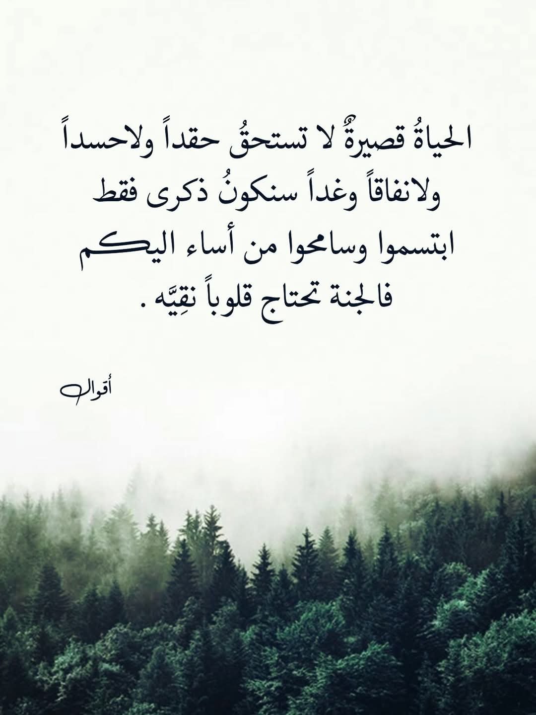 FB_IMG_1743600502142.jpg