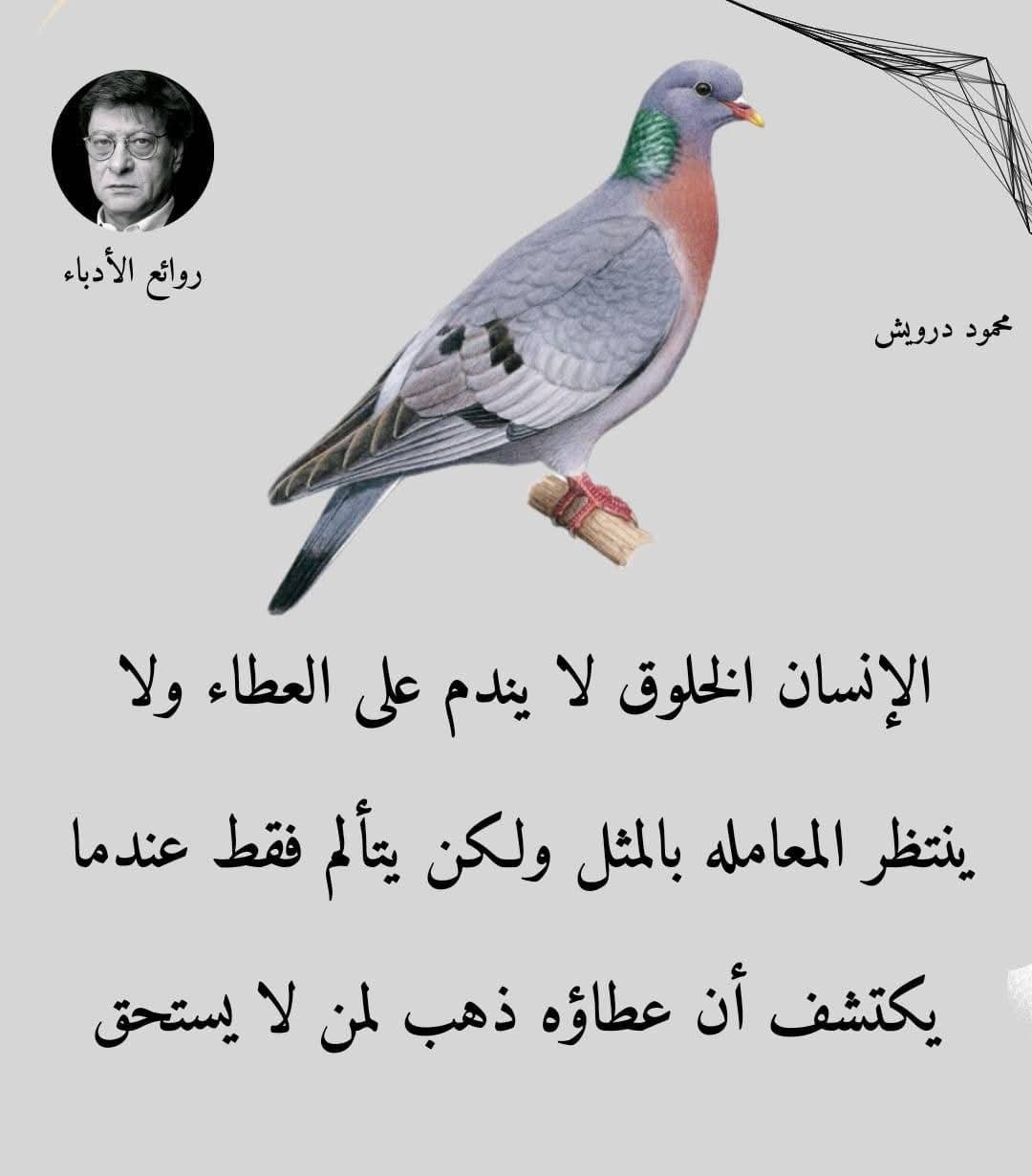 FB_IMG_1743600251101.jpg
