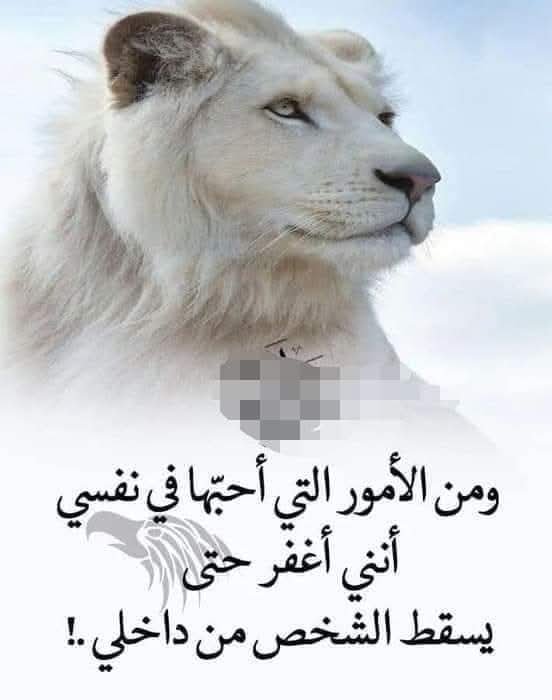 FB_IMG_1743597000093.jpg