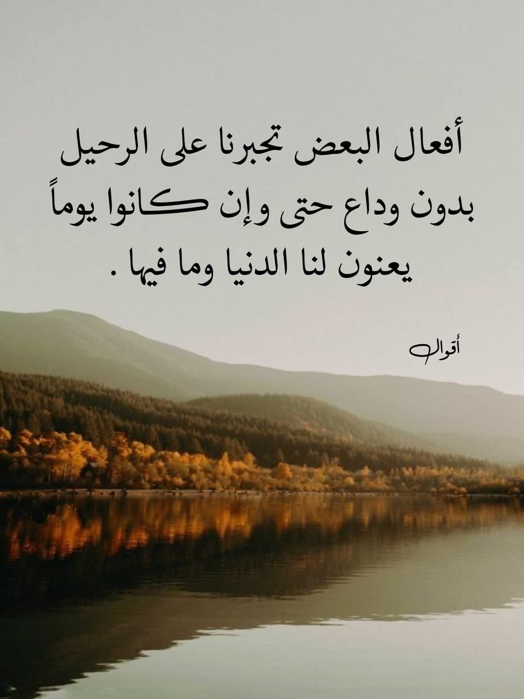 FB_IMG_1743527709525.jpg