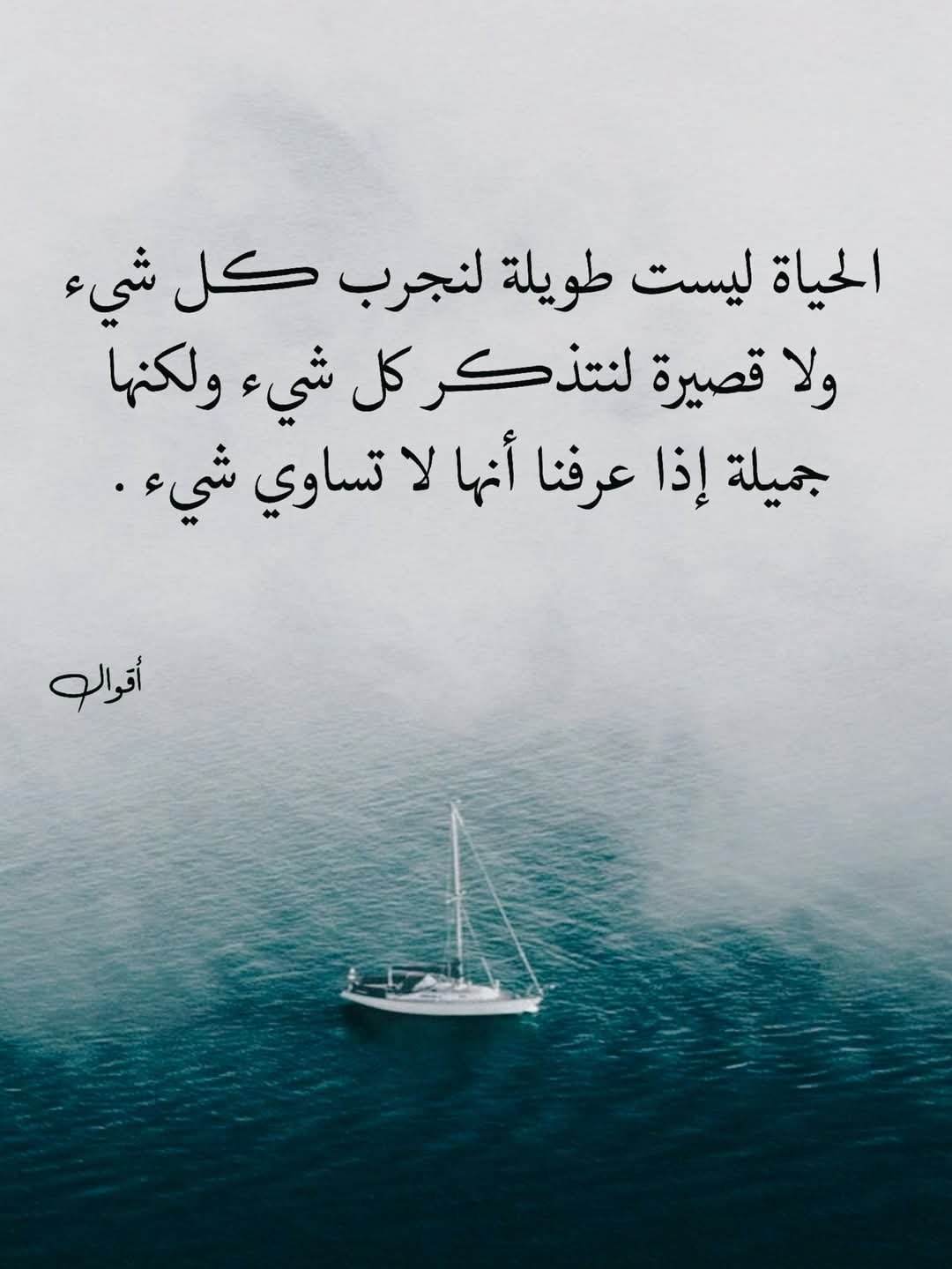 FB_IMG_1743682261622.jpg