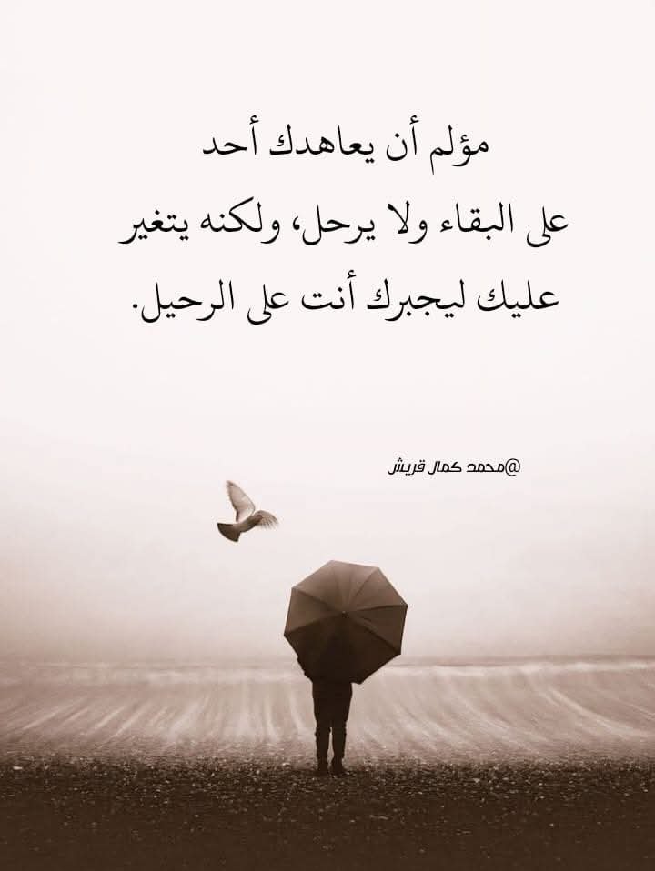 FB_IMG_1743695258677.jpg