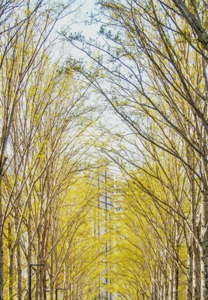 Screenshot_٢٠٢٥-٠٤-٠١-١٤-٥٨-٠٧-٥٠٩_lockscreen-edit.jpg