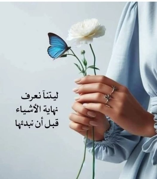 FB_IMG_1743692868961.jpg