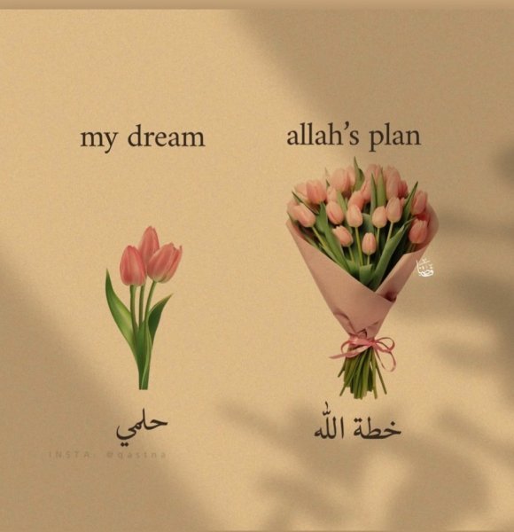 IMG_٢٠٢٥٠٤٠٥_٢٢١٠٢٧.jpg